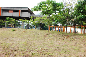 Parque Municipal Benemérito José Brás